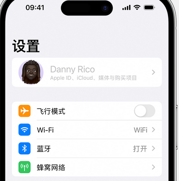 茶山镇appleID维修服务iPhone设置中Apple ID显示为灰色无法使用