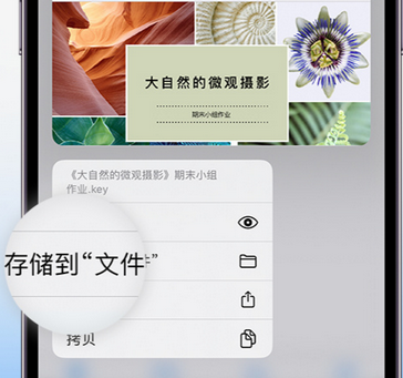 茶山镇apple维修中心分享iPhone文件应用中存储和找到下载文件