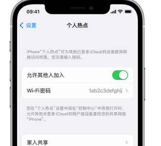 茶山镇apple服务站点分享iPhone上个人热点丢失了怎么办 