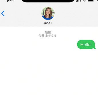 茶山镇apple维修iPhone上无法正常发送iMessage信息