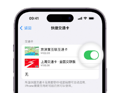 茶山镇apple维修点分享iPhone上更换Apple Pay快捷交通卡手绘卡面 