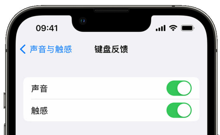 茶山镇苹果手机维修分享iPhone 14触感键盘使用方法 