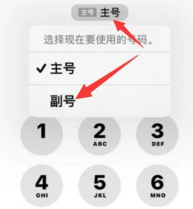 茶山镇苹果14维修店分享iPhone 14 Pro Max使用副卡打电话的方法 