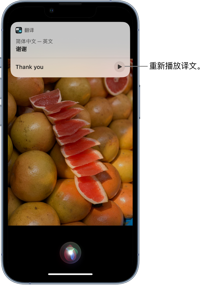 茶山镇苹果14维修分享 iPhone 14 机型中使用 Siri：了解 Siri 能帮你做什么 