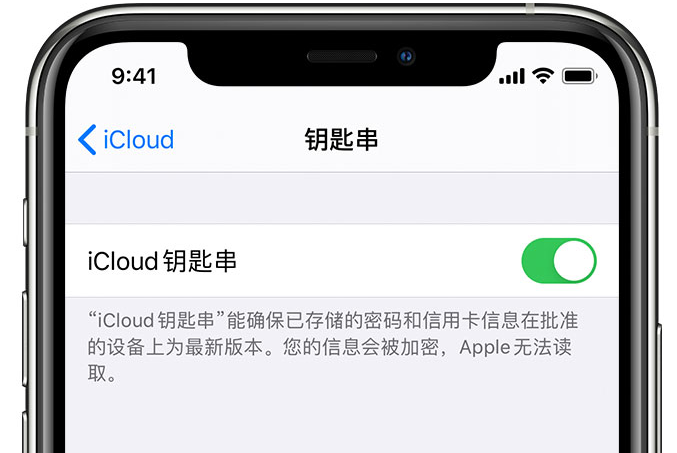 茶山镇苹果手机维修分享在 iPhone 上开启 iCloud 钥匙串之后会储存哪些信息 