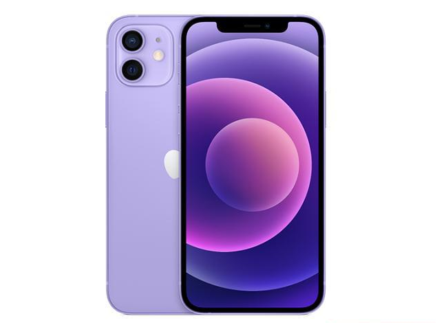 茶山镇苹果手机维修分享现阶段要不要入手紫色版iPhone12 